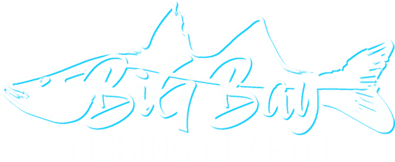 Big Bay Fishing Charters