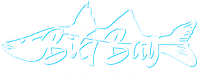 Big Bay Fishing Charters