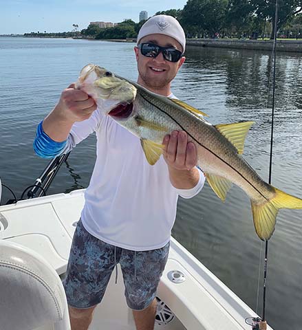 inshore snook caught in st petersburg