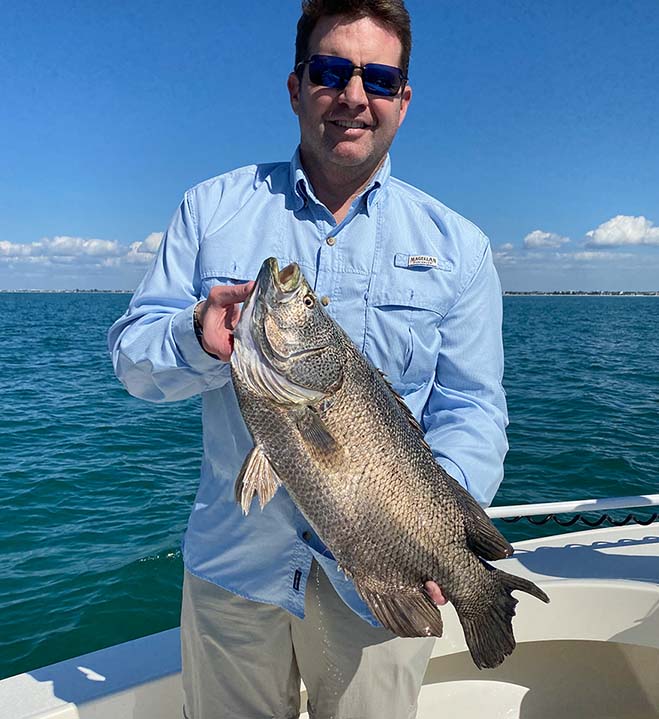 st petersburg nearshore tripletail