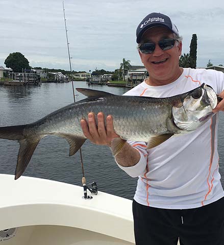 juvenile tarpon caught in st petersburg florida